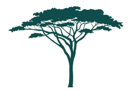 Gallant Law & Associates acacia tree mark
